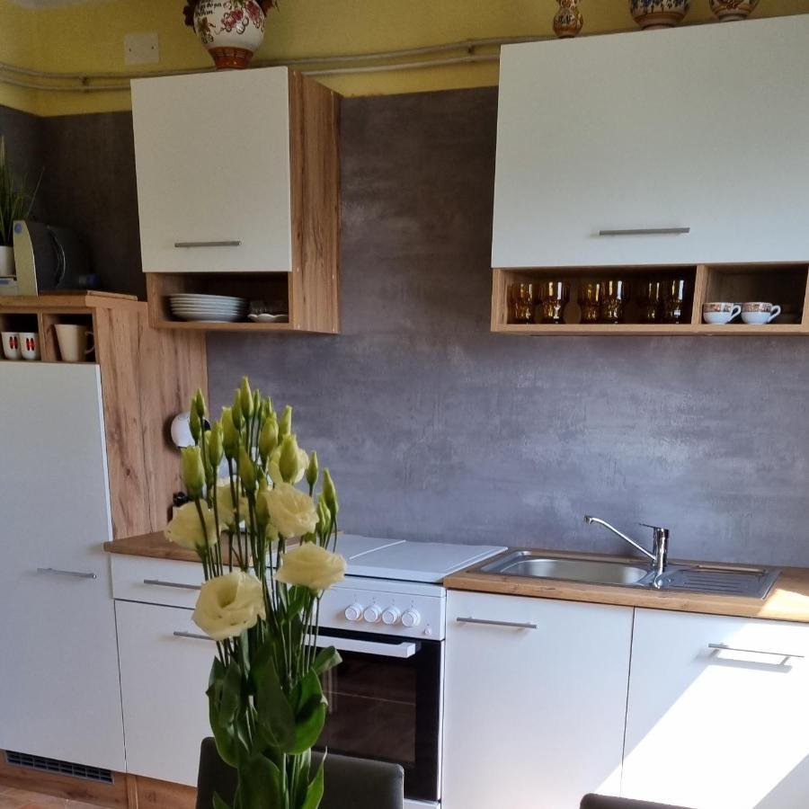 Apartma Tanja -Kamnik Extérieur photo