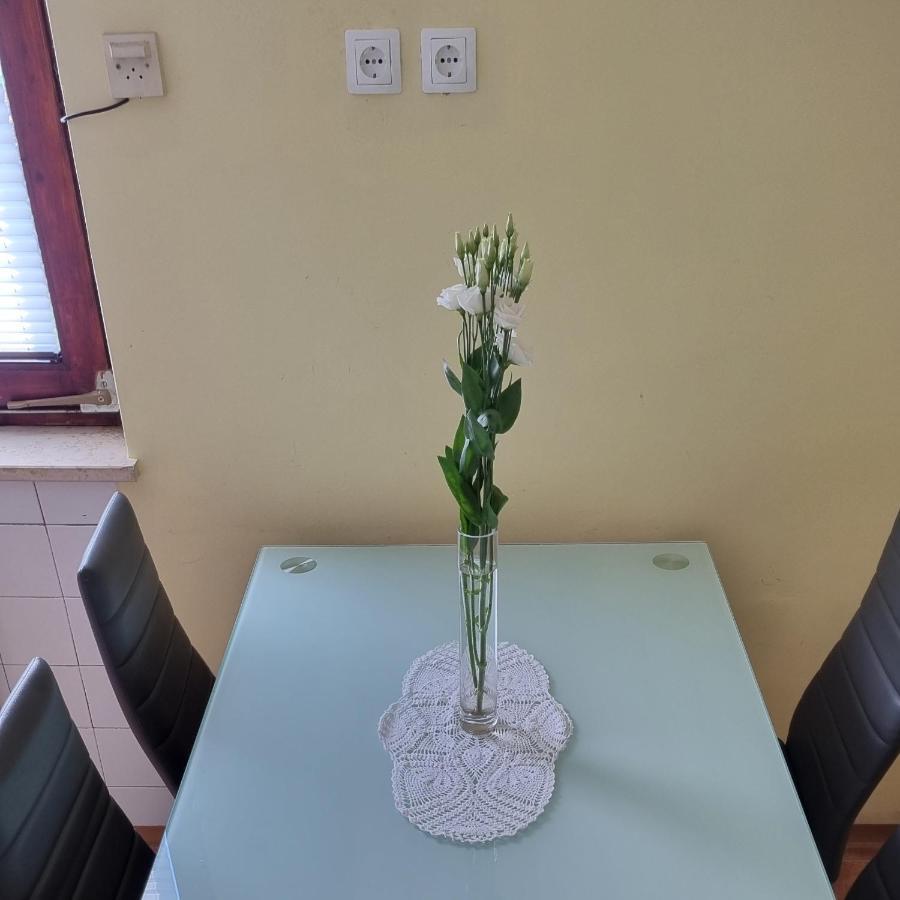 Apartma Tanja -Kamnik Extérieur photo
